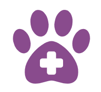 Syracuse Dog Groomers