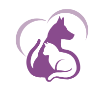 Syracuse Dog Groomers