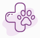 Syracuse Dog Groomers